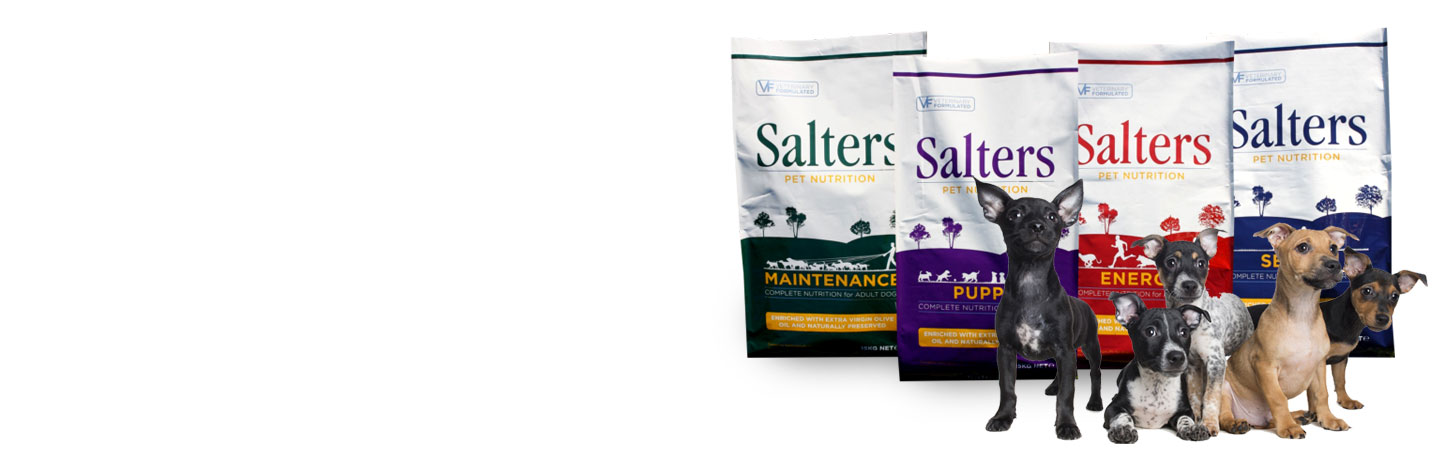 Salters Dog and Puppy Food and some happy dogs