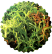 Natural Seaweed