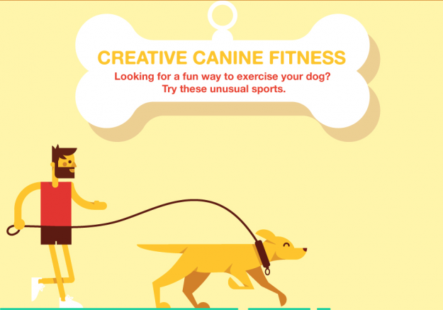 Creative Canine Fitness