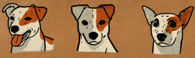 Dog Behaviour