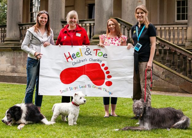 Heel and Toe for Web