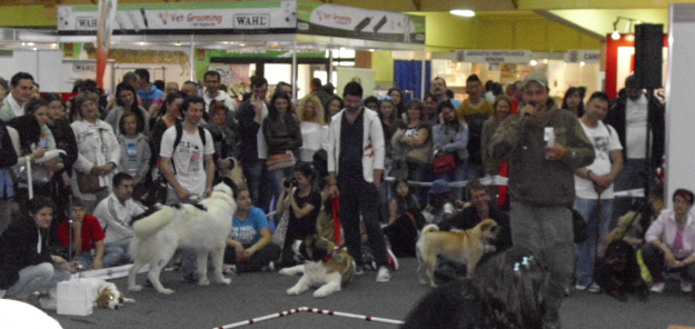 Romania Dog Expo