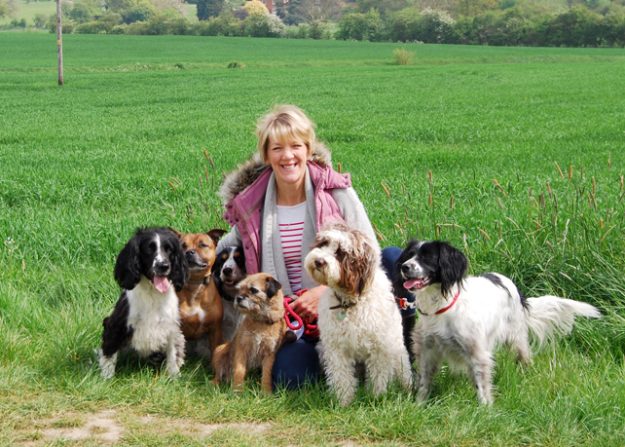 Suffolk Fairydogmother Suffolk Fairydogmother